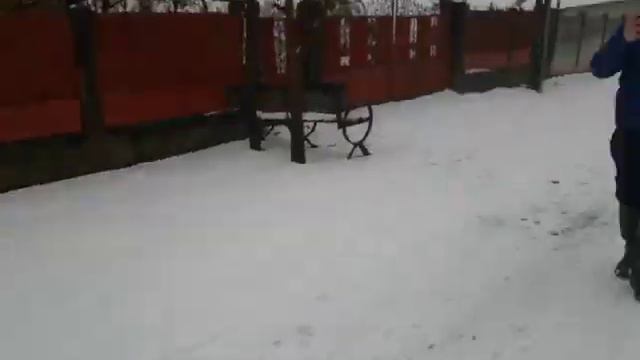VLOG( MERGEM LA PATRIK SA-L LUĂM) смотреть онлайн