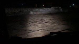 КАЛЯН86, Рейсики с Мишей в паре )