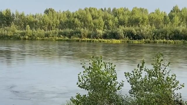 «Рубиновая свадьба» наших родителей! смотреть онлайн