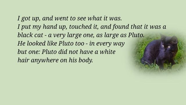 English Listening And Reading Practice. Black Cat By Edgar Allan Poe