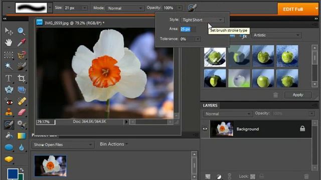 Photoshop Elements 9.0 Tutorial The Impressionist Brush Adobe Training Lesson 6.4 смотреть онлайн