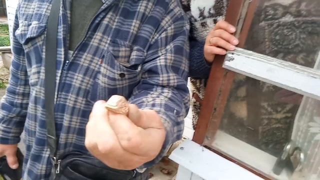 Как и чем можно найти золотое кольцо в траве? смотреть онлайн