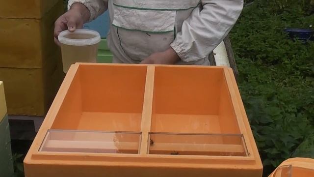 БИОПАСЕКА. Подготовка к зиме. Кормушка Нижегородец. Заливаем сироп. смотреть онлайн