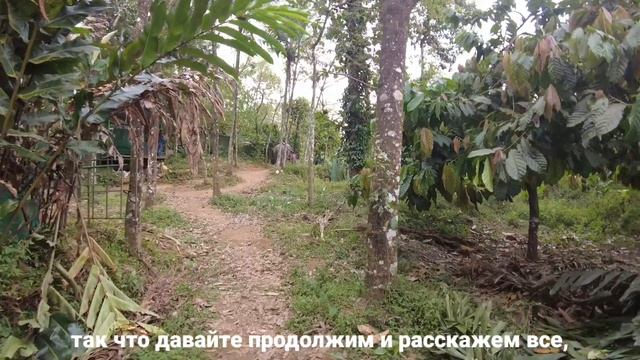 Муннар Керала Индия 2022 | Муннар Керала | Лучшее место для пары | Катание на слонах в Индии смотреть онлайн