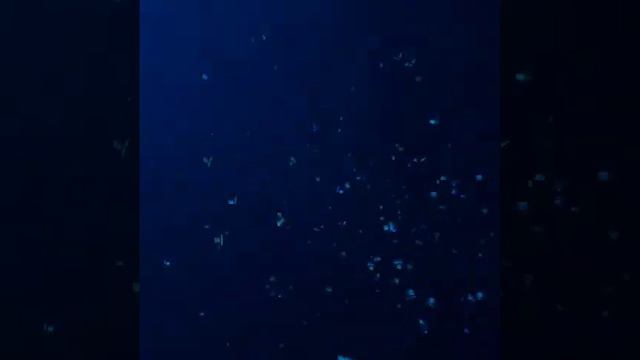 Schizophrenic Review Of 