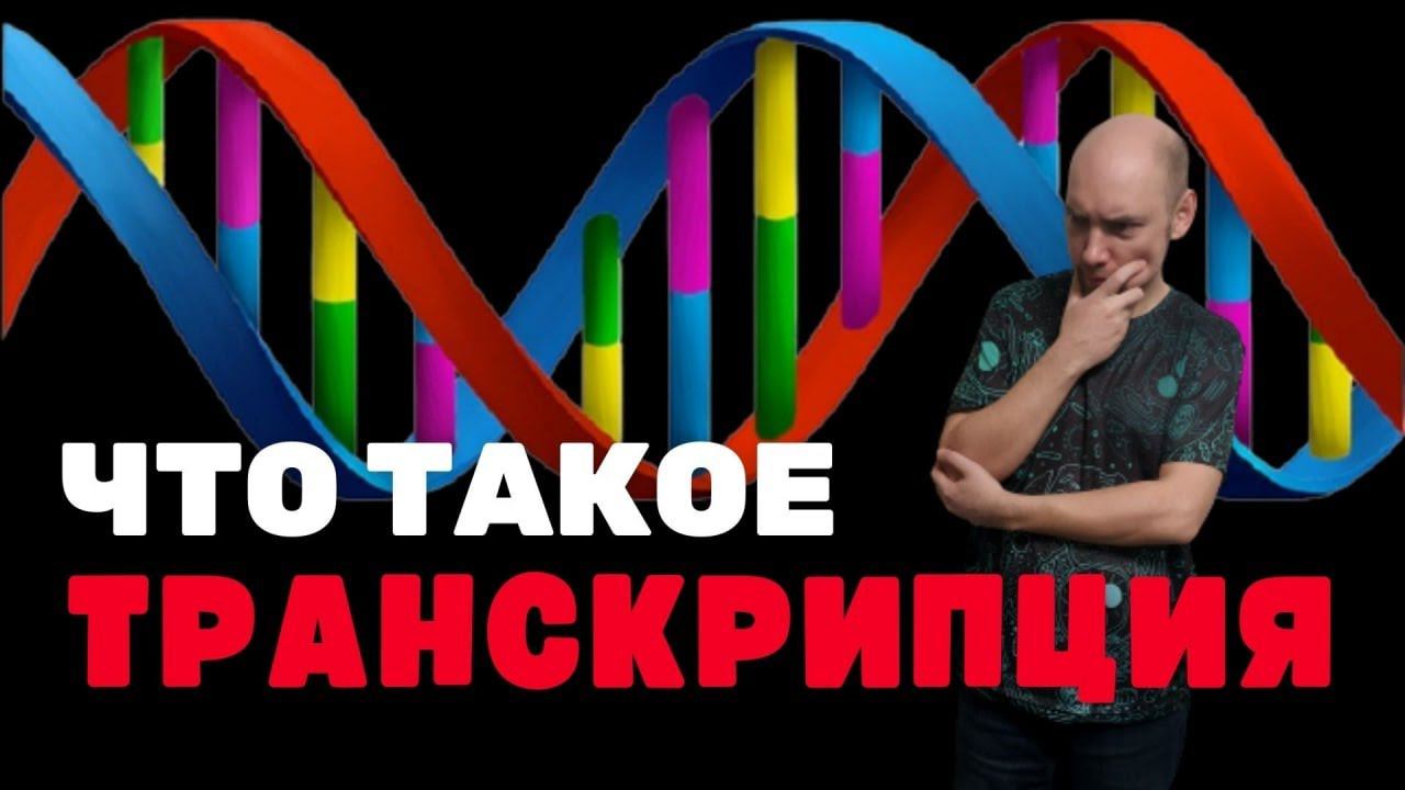 Что такое транскрипция? Душкин объяснит смотреть онлайн