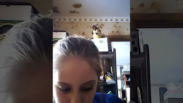 Сонатина,Полька форте пиано-пианино смотреть онлайн