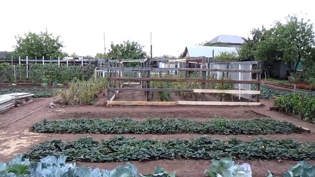 Дача Ростоши Оренбург сентябрь 2020 смотреть онлайн