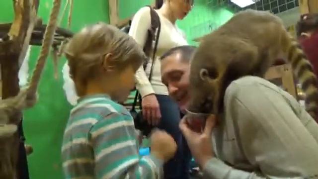 Любопытные носы смотреть онлайн