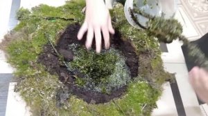 Модель болота