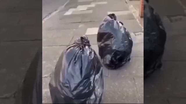 Карантин.mp4