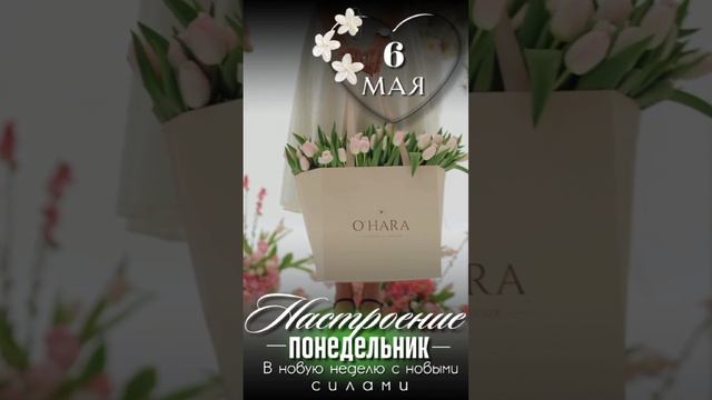 Доброе утро смотреть онлайн