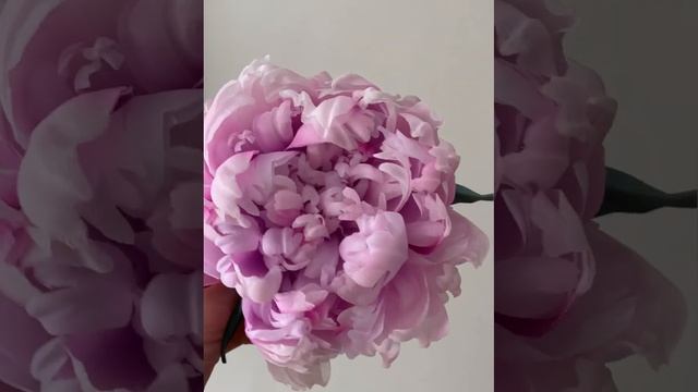 Брошь ручной работы Пион из шелка смотреть онлайн