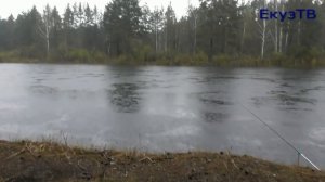 Мещёрские Хроники 27_ПолуДонка.Обрыбился на Майские!