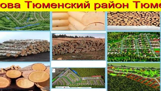 Пиловочник Тюмень Недорого смотреть онлайн