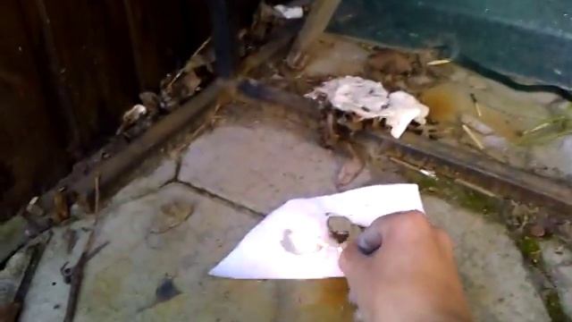 Алюминиевый порох на плохой серебрянке смотреть онлайн