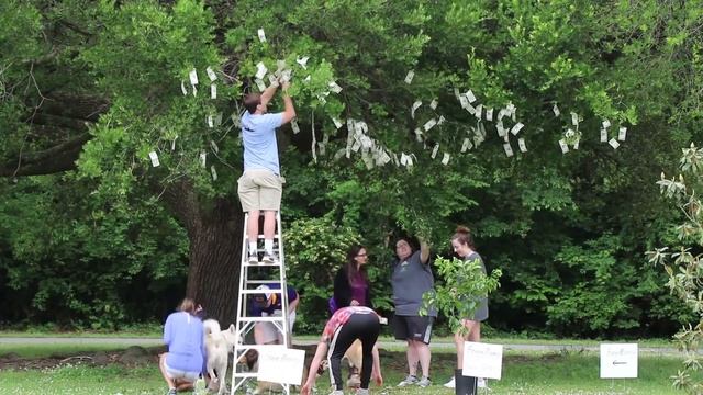 I Made Money Grow On Trees смотреть онлайн