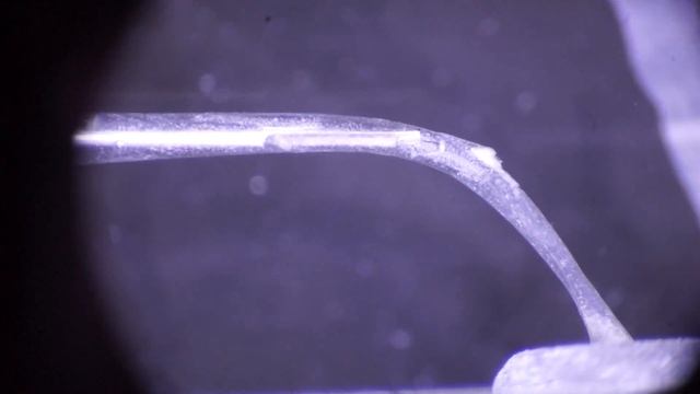 NaOCl+Citric acid+CHX, no agitation смотреть онлайн