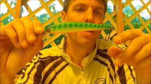 Воблеры Kosadaka Зеленый Китаец ZLN XS 118F. Новинка 2016