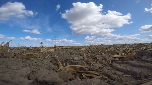 Field action//Cross//Honda//FMX650//Fun//HD// смотреть онлайн