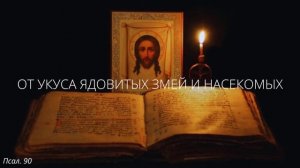 103. От укуса ядовитых змей и насекомых