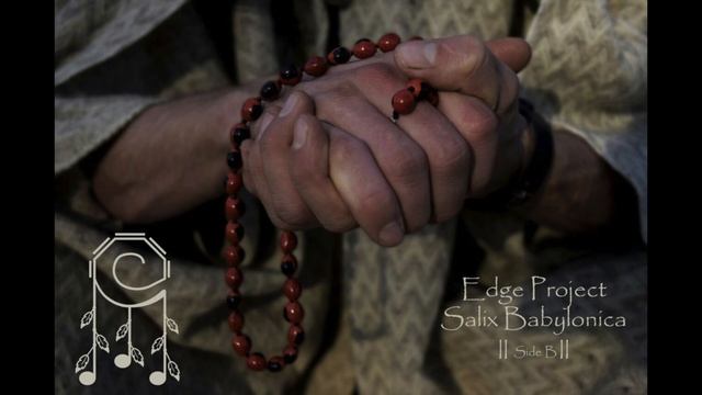 Edge Project - Salix Babylonica |side B| смотреть онлайн