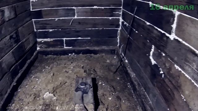 Новые жильцы в DIY сарае из шпал. Сорока на хвосте принесла #18 смотреть онлайн