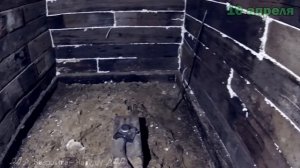 Новые жильцы в DIY сарае из шпал. Сорока на хвосте принесла #18