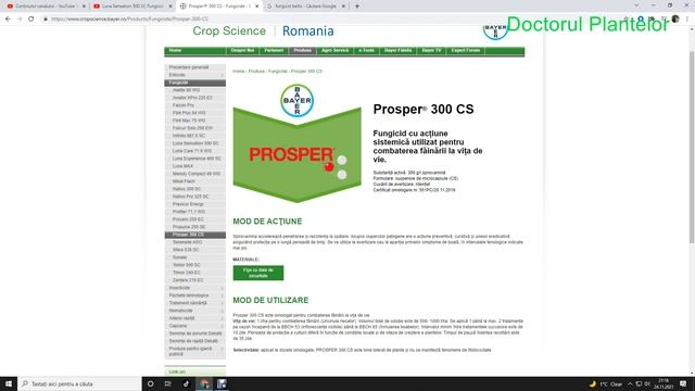 Prosper® 300 CS Fungicid cu acțiune sistemică utilizat pentru combaterea făinării la vița de vie смотреть онлайн