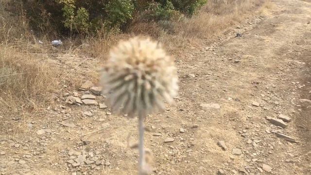 vlog #12 Болгария 2.Несебар.Варна.Азиатский ресторан.Гора. смотреть онлайн
