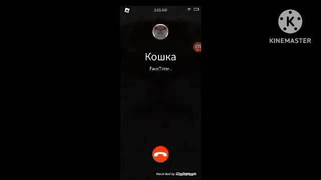 Я Позвонил Котику В 3 Часа Ночи И Вот Что Будет смотреть онлайн