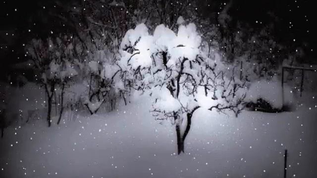 Колыбель для моих одиночеств, стихи Галины Пятисотских, читает Наташа Черноусова смотреть онлайн