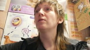 Обзор на Blitz Блиц, кошки и собаки, холистик и суперпремиум