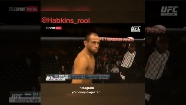 Прикол майрбек тайсумова смотреть онлайн