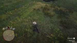 Кабан  Превосходная кабанья шкура