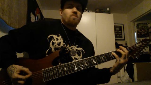 No Zodiac - Chaos reigns guitar cover смотреть онлайн