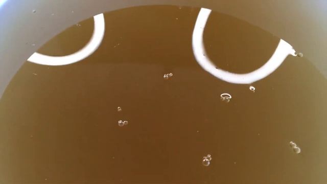 Обзор дрожжей TURBO POWER (ANGEL) смотреть онлайн