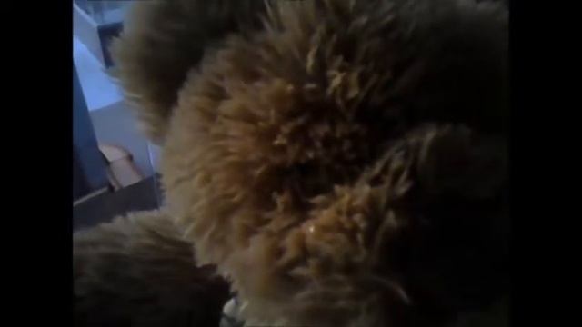 Как мишка искал друзей new смотреть онлайн