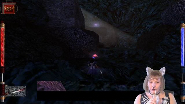 American McGee's Alice: Безумный шляпник и Ко