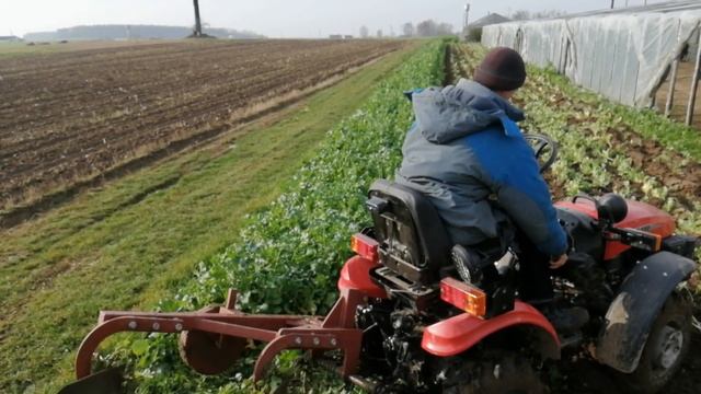 МТЗ 152 . Запахиваем сидераты. смотреть онлайн