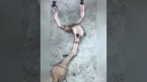 Субару импреза удаление катализаторов