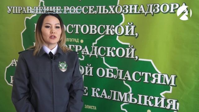 Обязанности о внесении данных во ФГИС Зерно смотреть онлайн