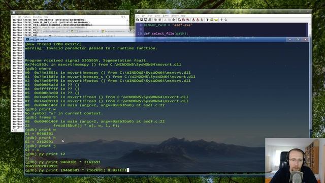 Gynvael's Livestream #15: Fuzzing (12.07.2016 19:00) смотреть онлайн