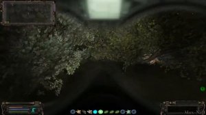 ОП-2.1 Забытый Лес-Ищем яйца для Повара и сдаем квесты.