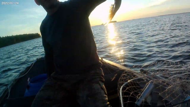 Рыбалка на Выгозеро 2022