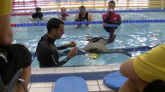 Freediving Finnish Open 2019 STA Eva Raimundez смотреть онлайн