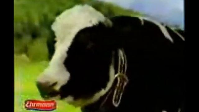 Реклама Эрмигурт Ehrmann 2004 смотреть онлайн