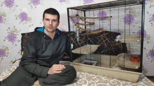 КАКУЮ КЛЕТКУ КУПИТЬ. КАК ВЫБРАТЬ КРЫСУ. УХОД ЗА КРЫСОЙ. СОДЕРЖАНИЕ КРЫСЫ. ВЛОГ #55 dumbo rat