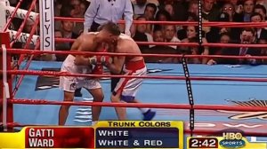 Это нужно видеть. Артуро Гатти - Микки Уорд. Arturo Gatti vs Micky Ward. Трилогия.Бой третий.