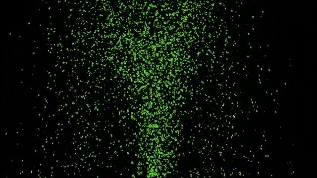 Particles Animation Background video | Copyright Free смотреть онлайн